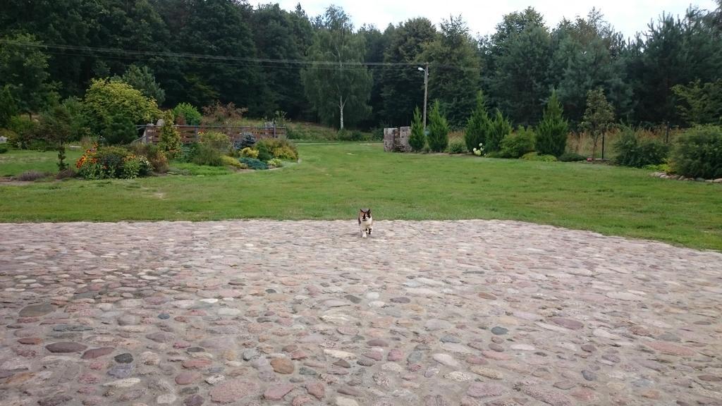 Modrzewiowa Chata Zaborze  Luaran gambar